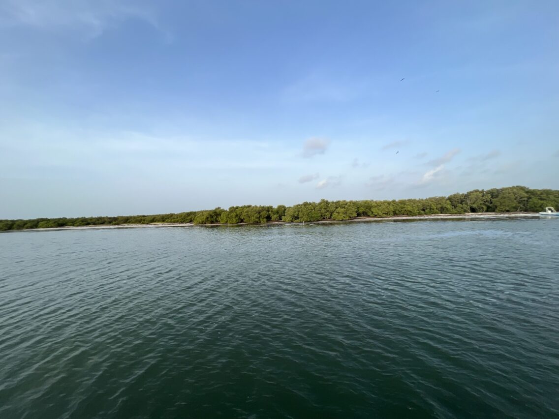 A hidden gem: Holbox