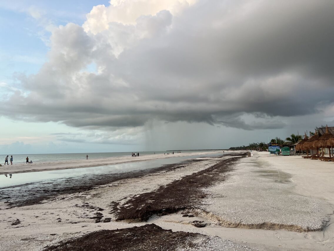 A hidden gem: Holbox