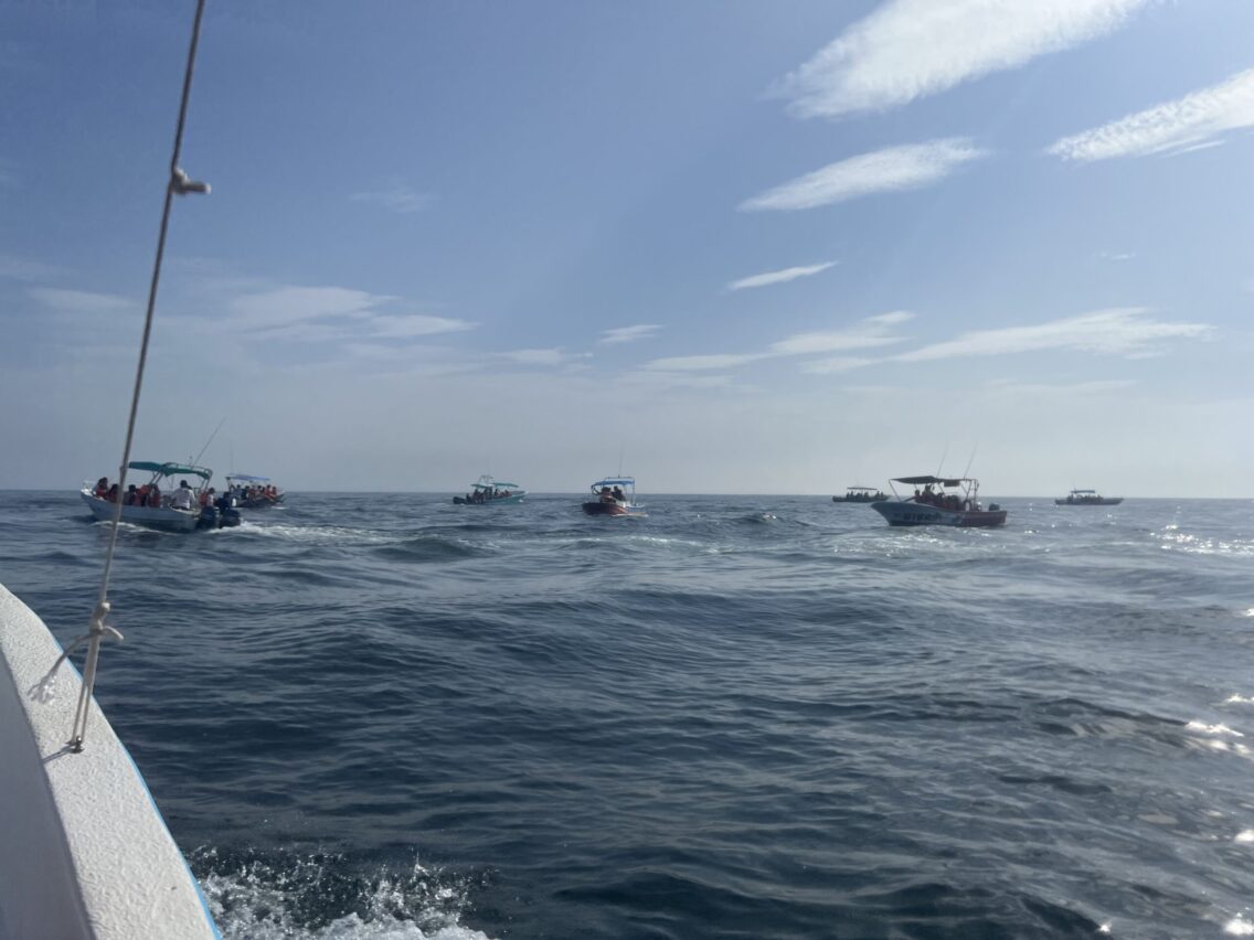 A hidden gem: Holbox