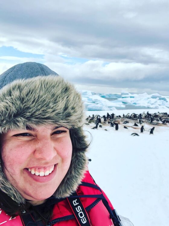 Pebble & the Penguin