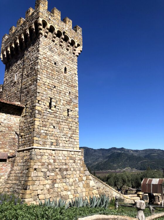 Traveling with friends vs. solo