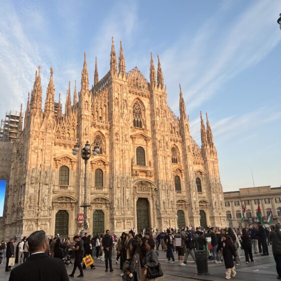 Getting Here & The First Few Weeks